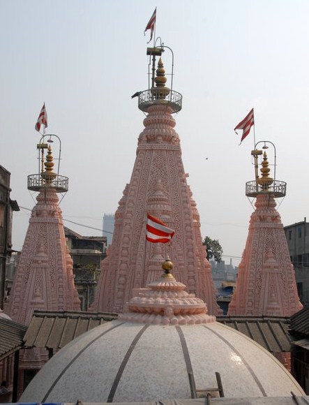 Shree Swaminarayan Mandir (Bhuleshwar)